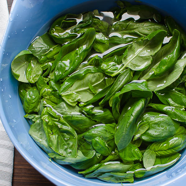 rinsing basil in a large bowl of water