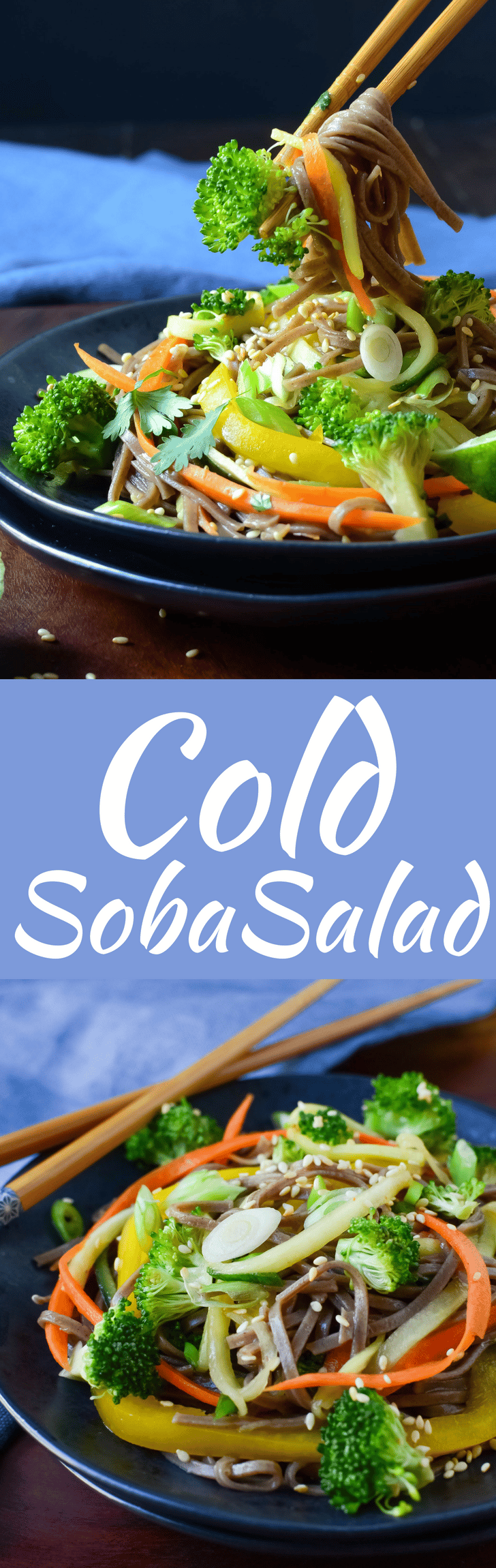 The best recipe for a hot day is this easy Cold Soba Salad with thinly sliced vegetables and an Asian-dressing that will fill you up & cool you off!