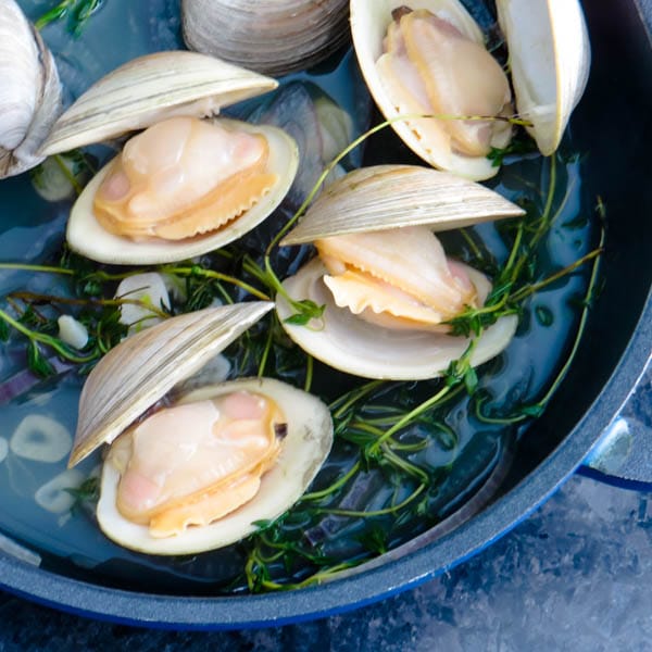 steamed clams