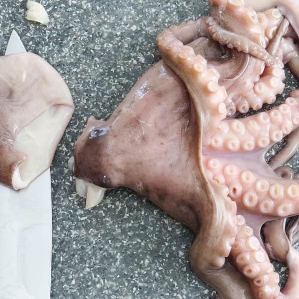 dissecting the octopus