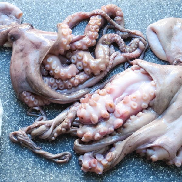 two octopus.