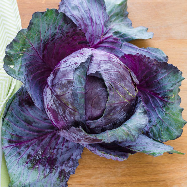 a head of red cabbage for Sweet and Sour Red Cabbage with Apples and Raisins