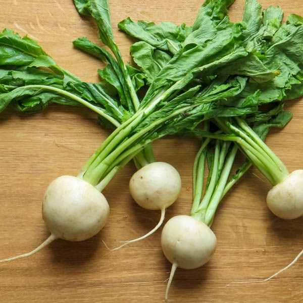 turnips with stems and roots.