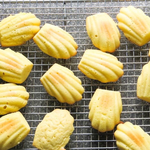 Coconut Madeleines on wire rack