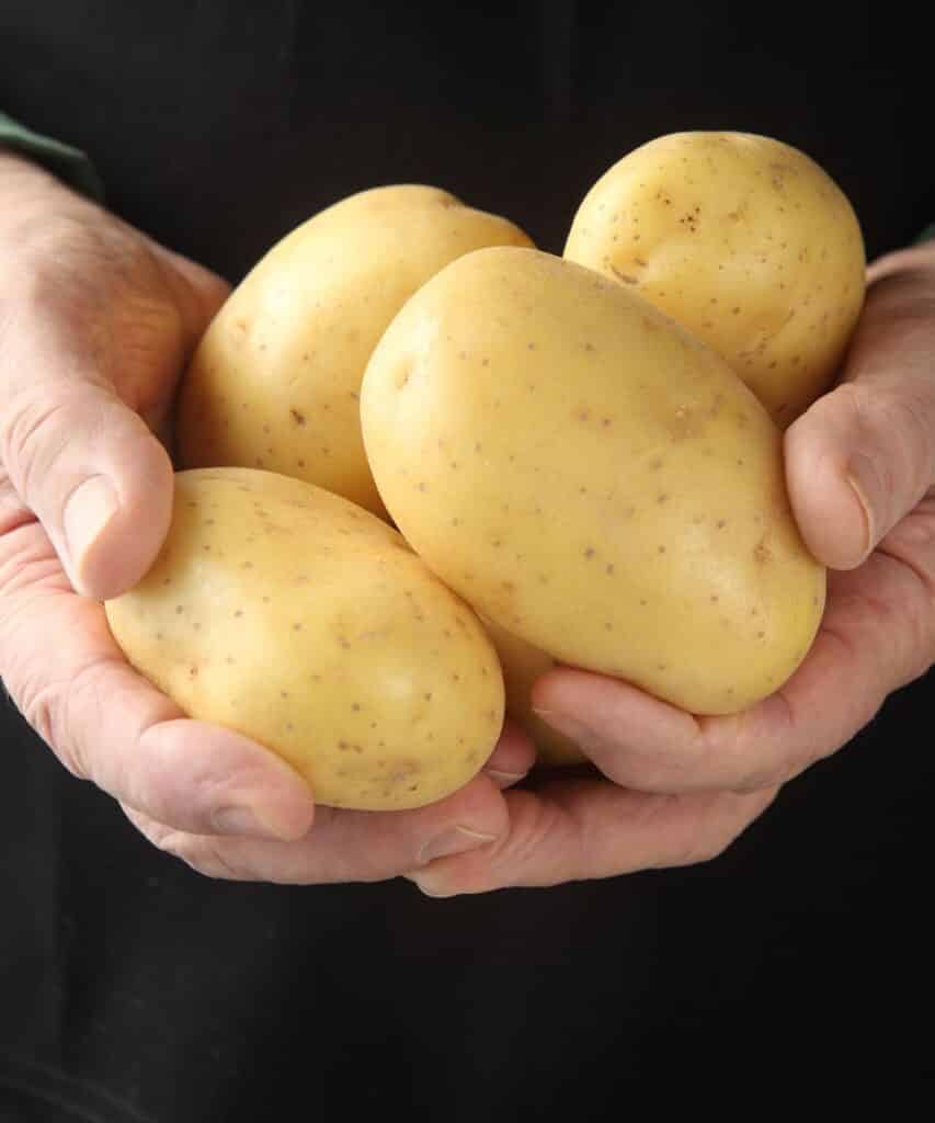 holding Yukon Gold Potatoes.
