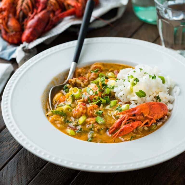 A beautiful photo of a serving of étouffée in a white-rimmed bowl with a pile of steamed crawfish behind it.