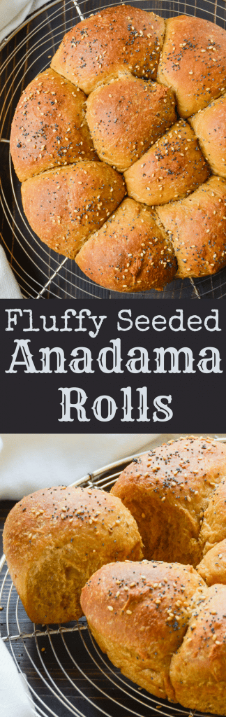 This easy yeast roll recipe feeds a crowd! These soft, fluffy Anadama Rolls are great for sopping up gravy at your next holiday table. Makes 2 dozen rolls.