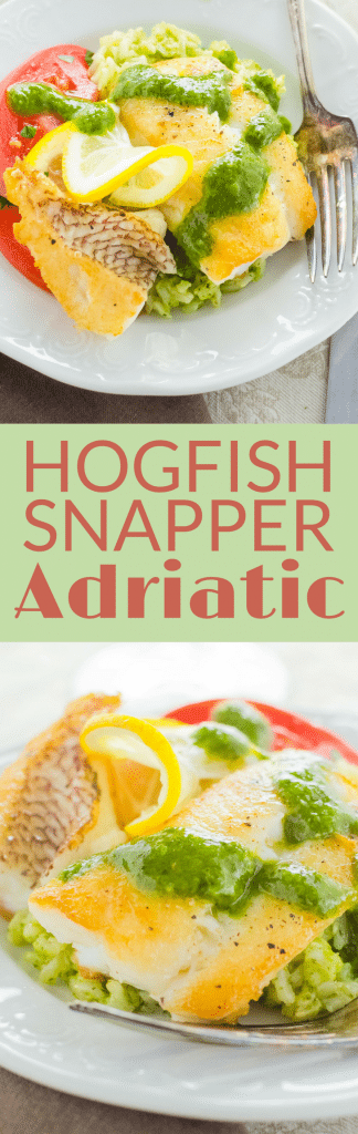 Want to know how to cook snapper? This easy Hogfish Adriatic is a quick pan saute with a fresh herb sauce. Great over rice. One of the best snapper fish recipes. If you don't have hog snapper, use yellowtail, red snapper or mangrove snapper. #snapper #snapperrecipes #seafood #howtocookfish #howtocooksnapper #floridasnapper #floridakeysfish #easyfishrecipe #fishrecipe #healthyfishrecipe #healthyfish #pescatarian