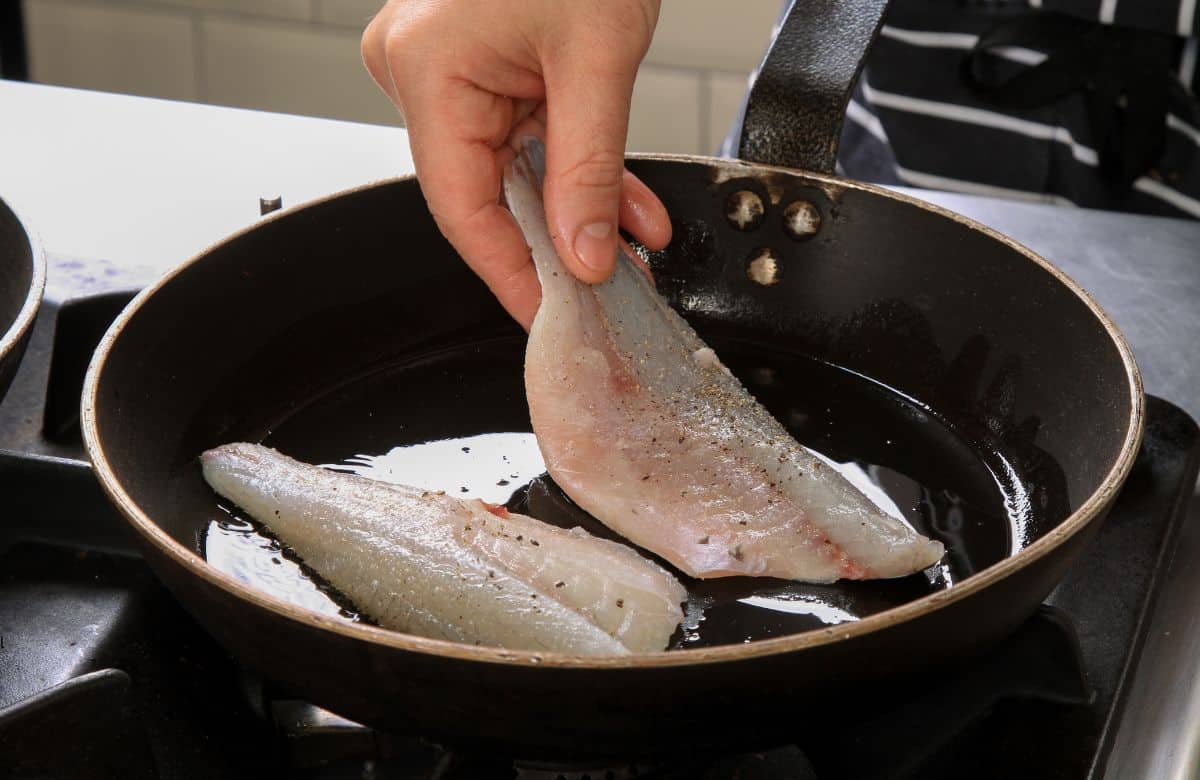 pan frying hogfish.
