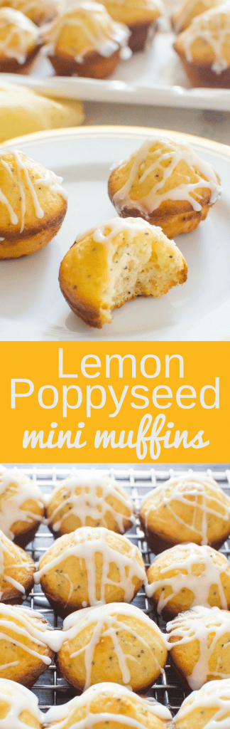 Need a quick & easy muffin recipe? Glazed Lemon Poppyseed Mini Muffins are great for entertaining. Soft & light they're first to go at breakfast or brunch. #muffins #brunch #breakfast #entertaining #minimuffins #quickbread #lemon #poppyseed #christmas #easter #sweet