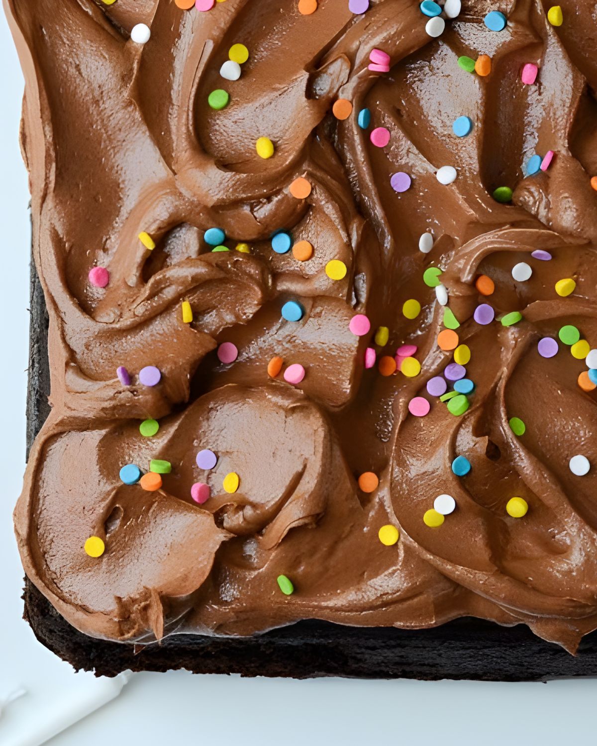 A single-layer chocolate cake with chocolate frosting.