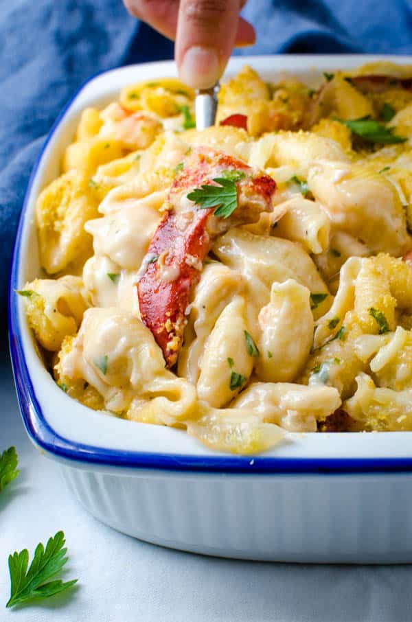 A spoonful of seafood mac and a cheese.