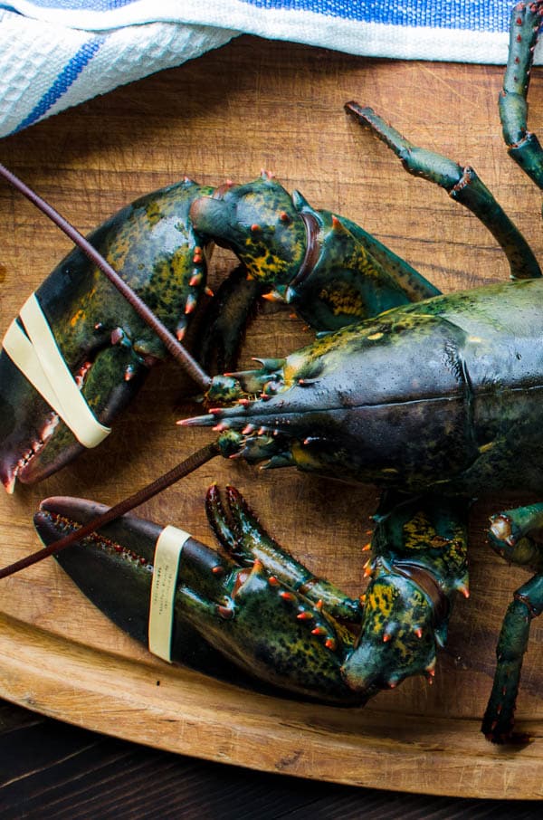 live lobster on a cutting board.