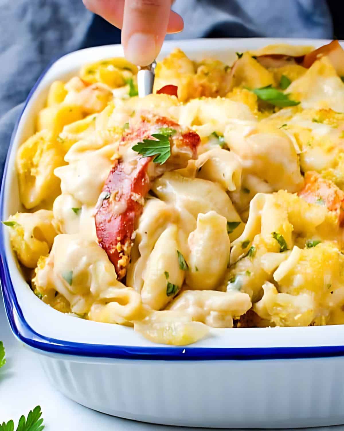 A casserole of lobster and macaroni and cheese.