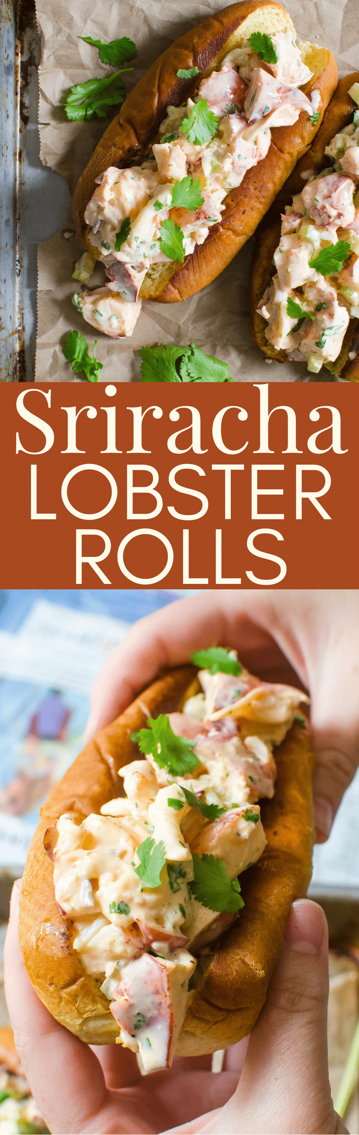 Want a twist on a lobster roll sandwich? Sriracha Lobster Rolls take the authentic lobster roll recipe to a new high! With instructions on how to cook a live lobster and mix up a spicier New England roll. #lobsterroll #newenglandlobsterroll #lobster #howtocooklobster #sandwich #newenglandpatriots #authenticlobsterrolls #sriracha #srirachamayonnaise #lobsterrollrecipe #