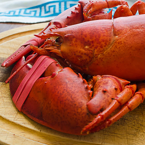 Cooked Maine Lobster.