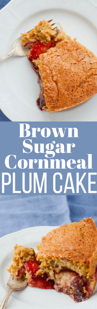 This easy plum cake recipe works well as a coffeecake or dessert! Bake tart plums into a sweet brown sugar and cornmeal batter for an easy, delicious treat!