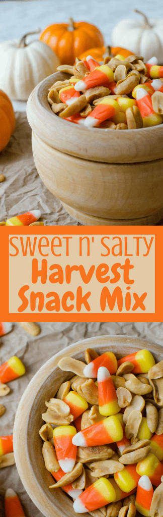 The easiest snack recipe has only two ingredients! Sweet n' Salty Harvest Snack Mix is addictive & tastes like PayDay candy bars. Grab a handful and see.
