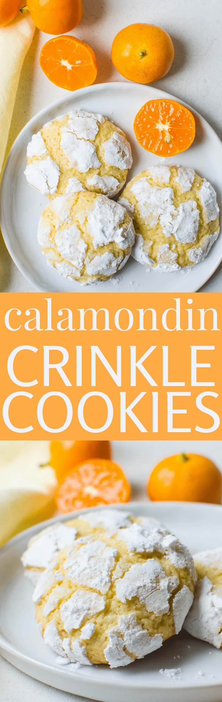 If you have an ornamental calamondin tree, then you'll love these Citrusy Calamondin Crinkle Cookies. This easy crinkle cookie recipe is an ideal way to use calamondin oranges. A cheery Easter cookie, this calamondin recipe is a lovely departure from the ordinary. #cookies #crinklecookies #orange #calamondinorange #calamondinorangerecipe #eastercookies #springcookies #christmascookies #calamondinrecipe #calamondinrecipes #powderedsugar #citruscookies #keylimecookies #easycookierecipe