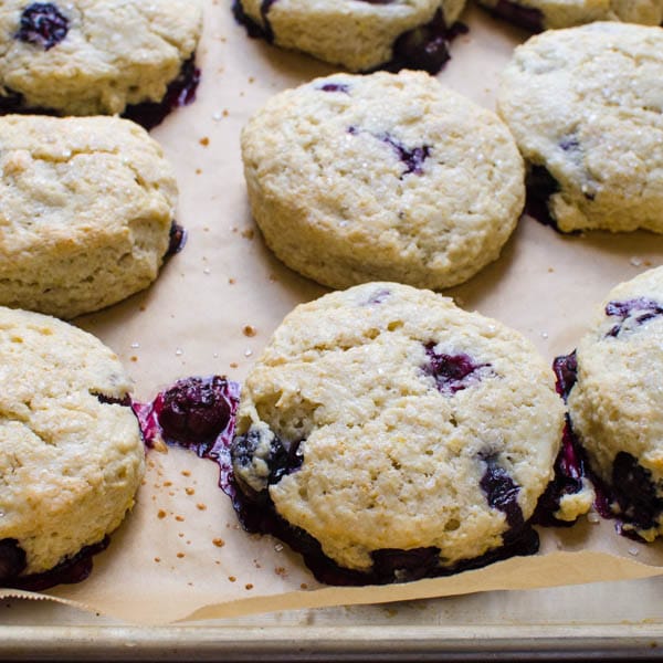 freshly baked blueberry cream cheese scones on a baking sheet.