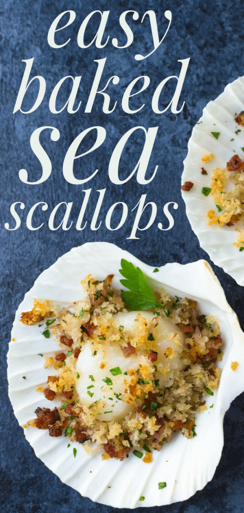 Have you baked scallops in their shell? Fancy baked sea scallops will impress your guests & this easy scallop appetizer w/crumb topping is ready in minutes. #seascallops #appetizer #seafoodappetizer #bakedscallops #bakedseascallops #pescatarian #scallopsinshell #healthybakedscallopsrecipe #scallopappetizer 