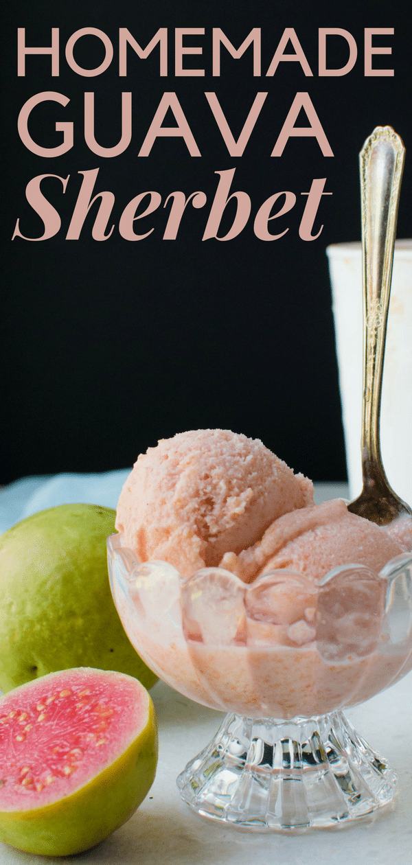 Looking for simple guava desserts? How about a homemade sherbet? Slightly richer than guava sorbet, this tropical dessert is luscious and easy to make. #guavasherbet #guavasorbet #guavaicecream #homemadesherbet #homemadeicecream #guavas #pinkguava #icecreamrecipes #sherbetrecipe #tropicalfruit #tropicaldessert #guavadessert #summerfruitdessert #fruitdessert #tropicalfruit #guavasyrup #simplesyrup #skimmilksherbet