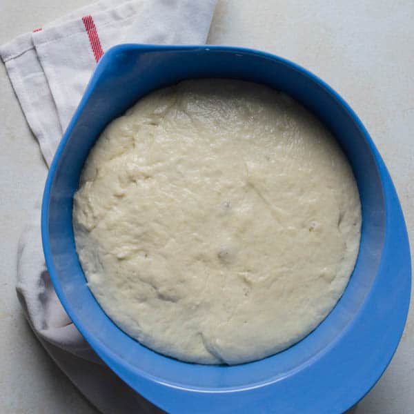 amish bread recipe proofing in a bowl.