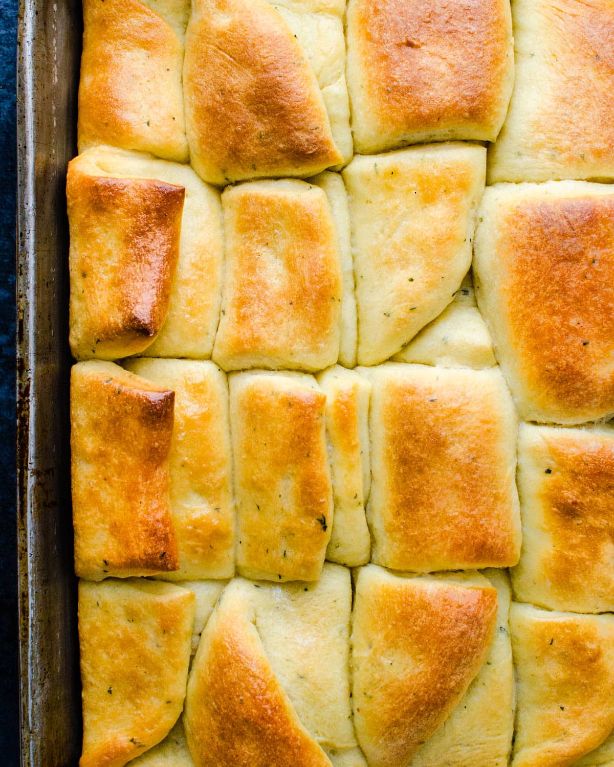 a pan of baked parker house rolls.