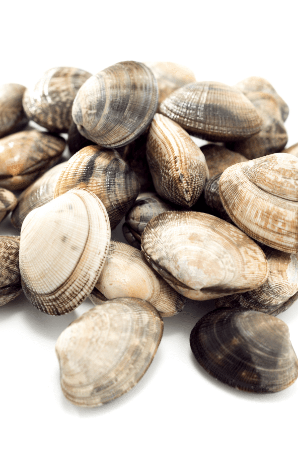 clams and other seafood options are a good bet for transforming jarred pasta sauce into a homemade fruits de mer.