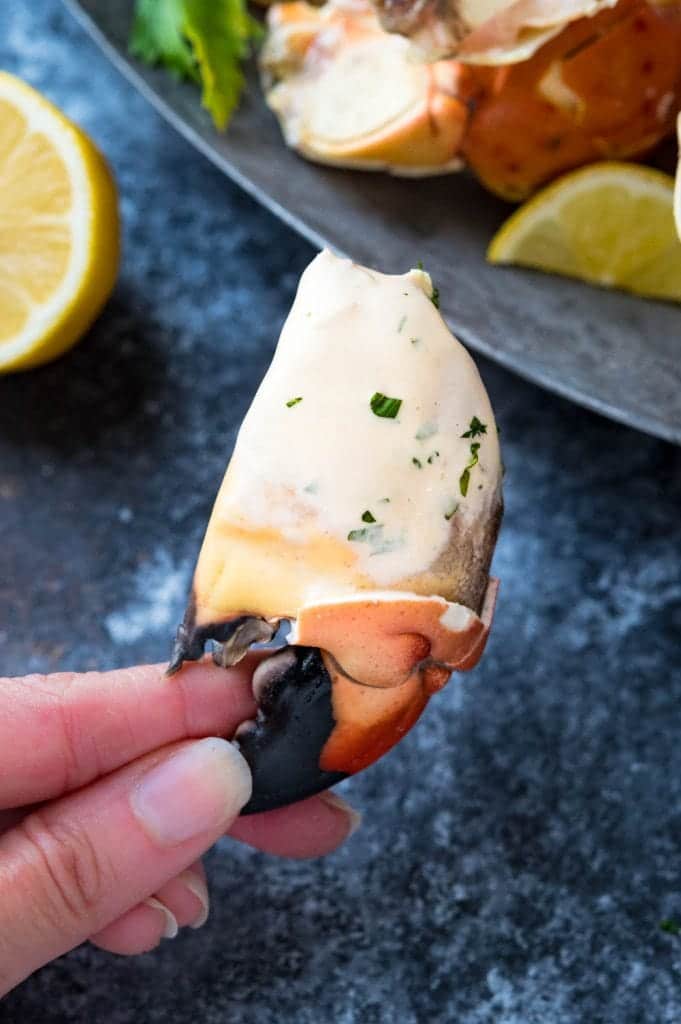 a stone crab claw dunked in mustard dipping sauce.