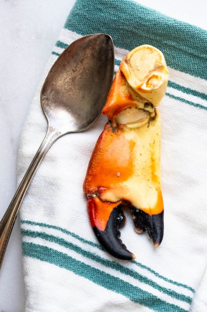 A stone crab claw on a dish towel and a spoon to crack it with.