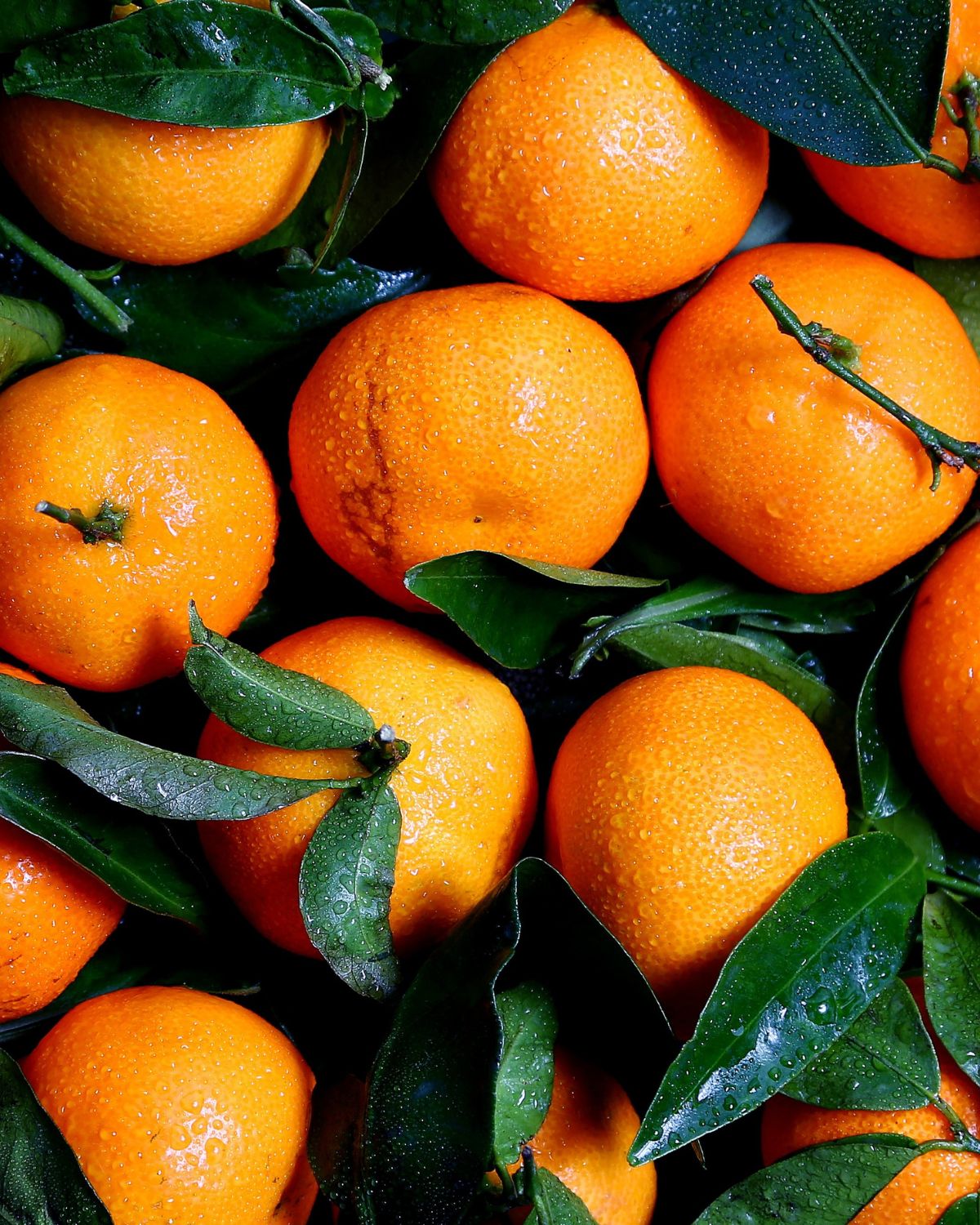 A photo of fresh oranges and greenery.