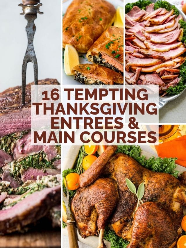 Best Thanksgiving Entrees For The Holidays & Friendsgiving