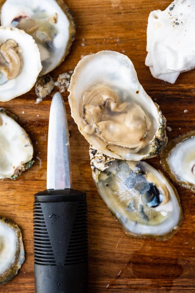 Shucking oysters. 