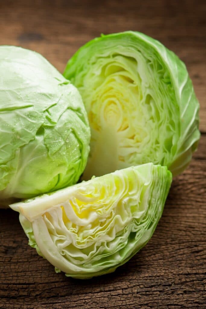 a head of green cabbage.