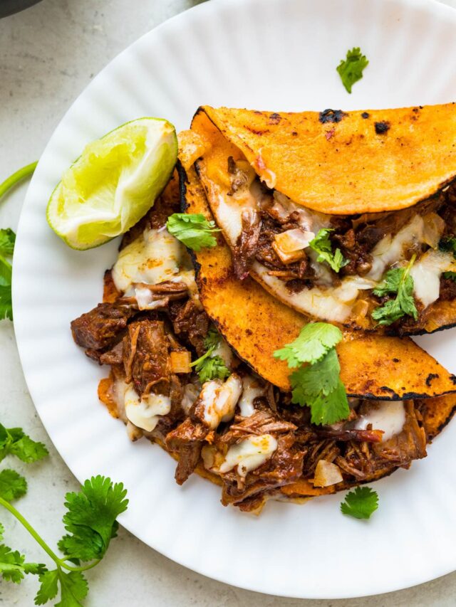 How To Make Quesabirria Tacos At Home