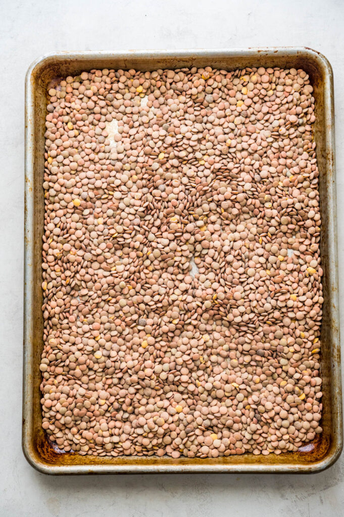 sorting through dried lentils on a rimmed sheet pan.
