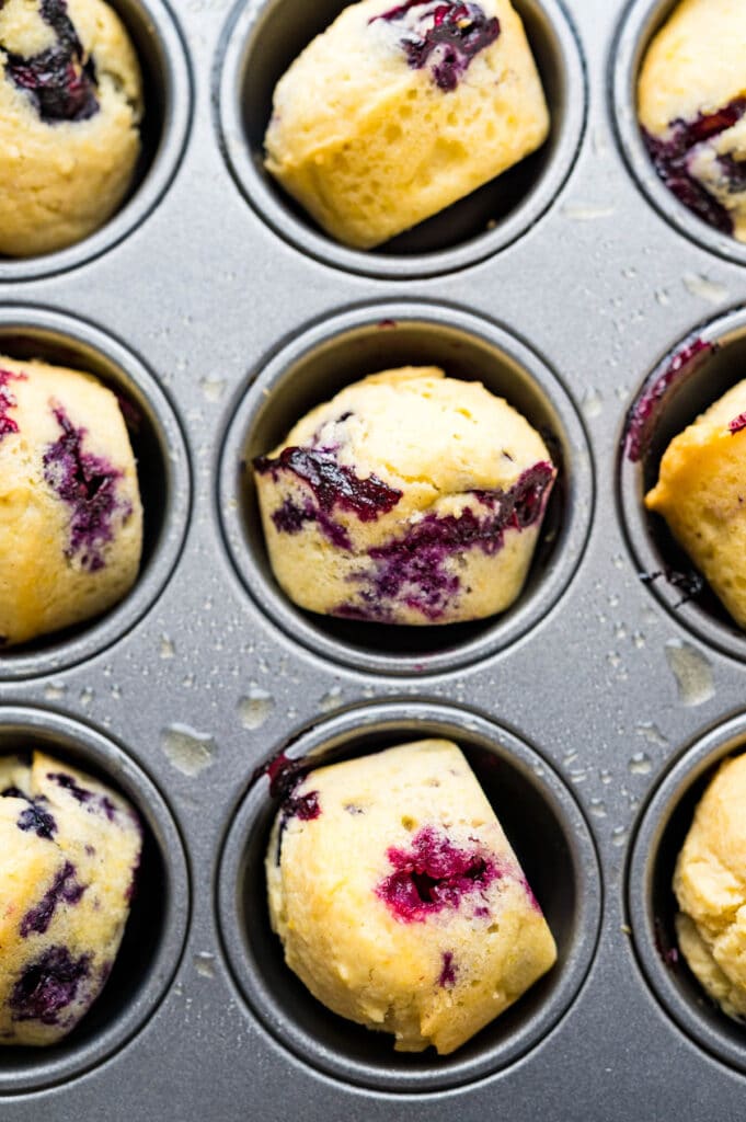 baked lemon blueberry corn muffins in the tin.