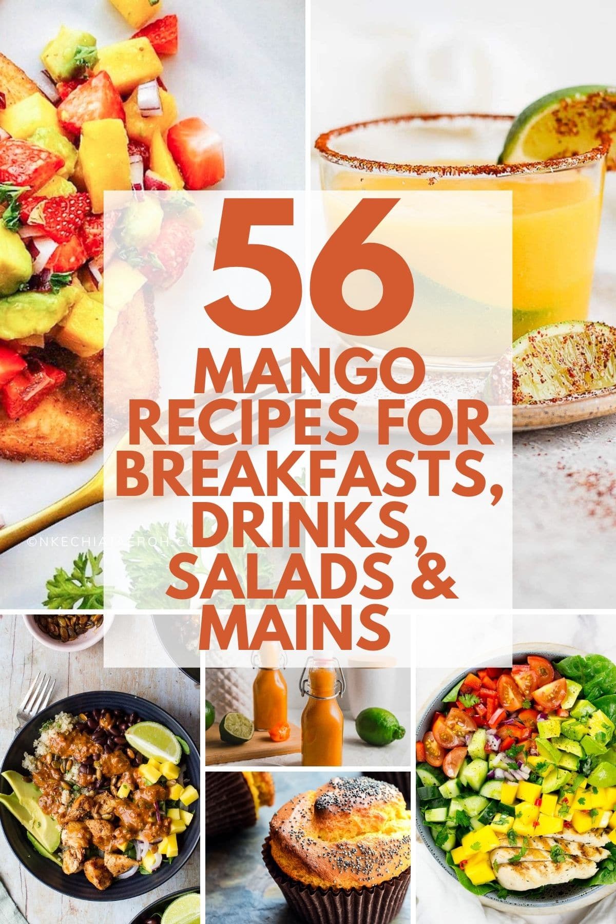 collage of mango recipes.