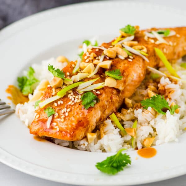 Asian Glazed Salmon with cilantro, scallions and peanuts over rice.