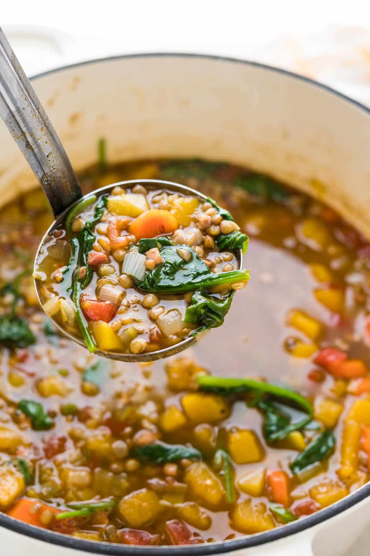 ladling out a serving from a pot of lentil squash soup.