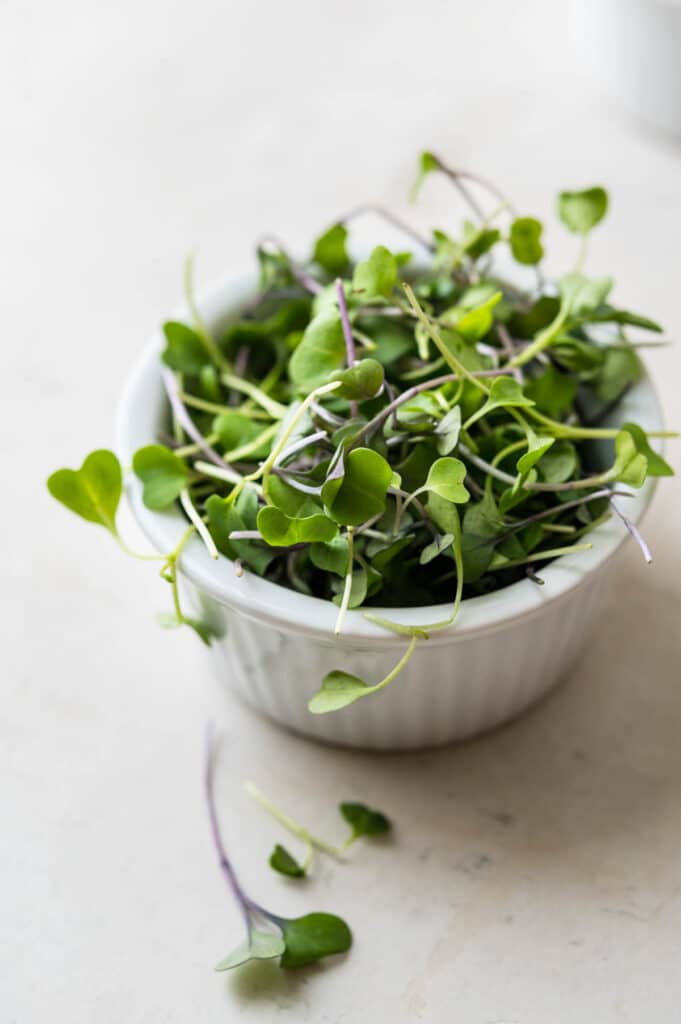 baby micro greens in a dish.