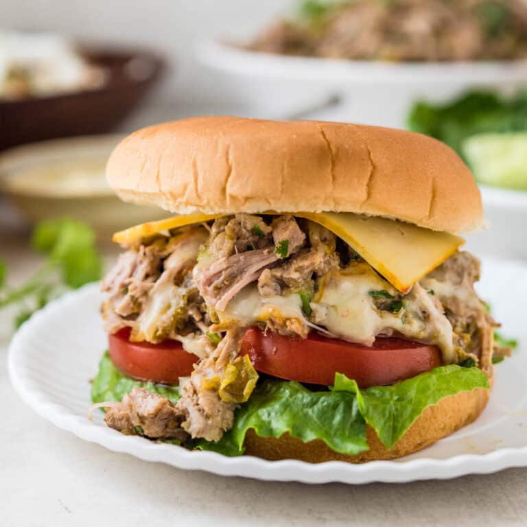 A sandwich made with hatch chile pulled pork.