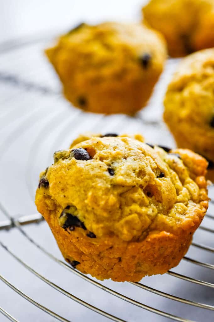a mini pumpkin muffin dotted with chocolate chips.