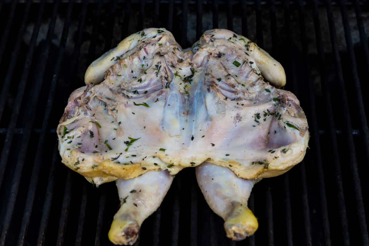 Grill the spatchcock chicken breast side down with the back splayed open.