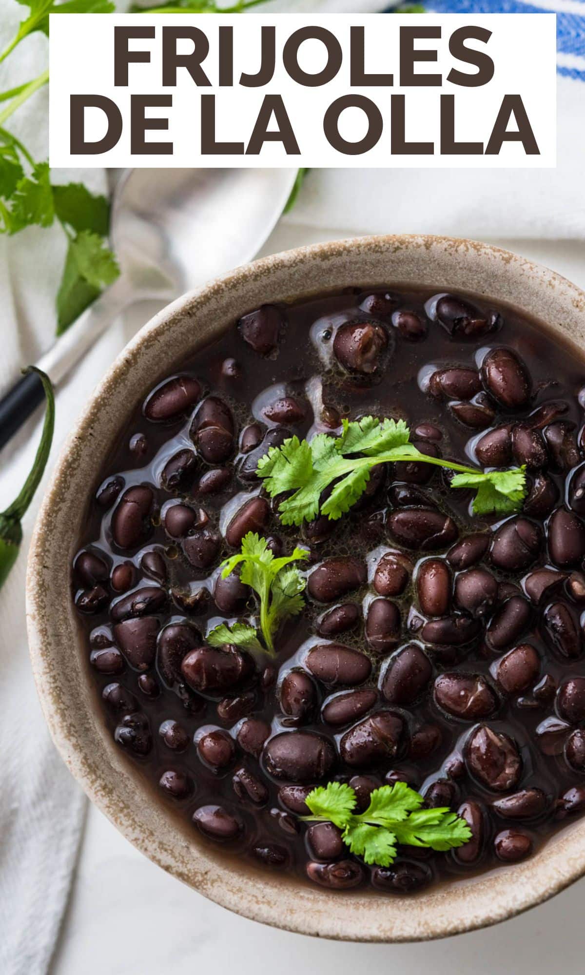 Frijoles de la Olla (Mexican Pinto Beans Recipe) - A Spicy Perspective