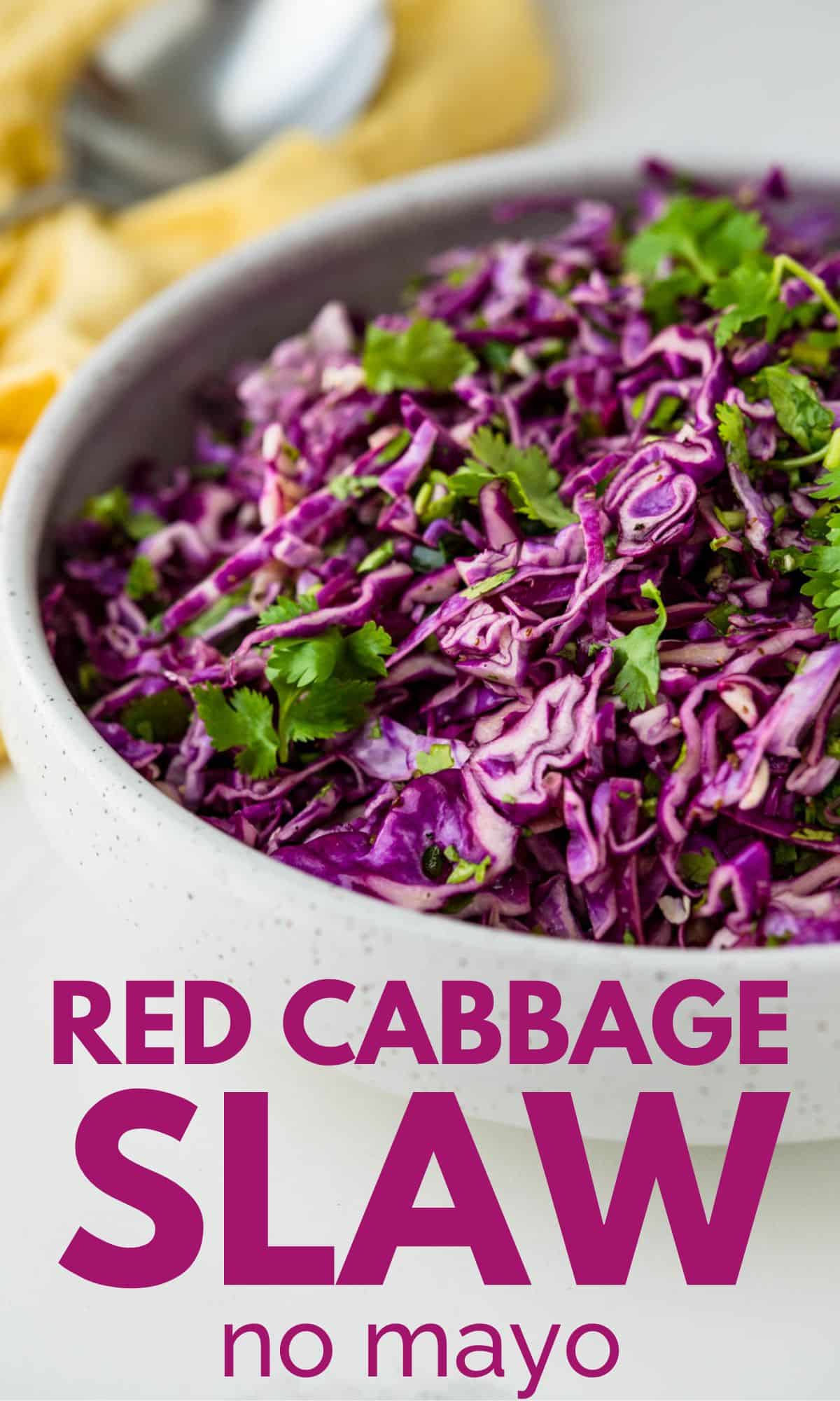 a red cabbage slaw pin to save for later.
