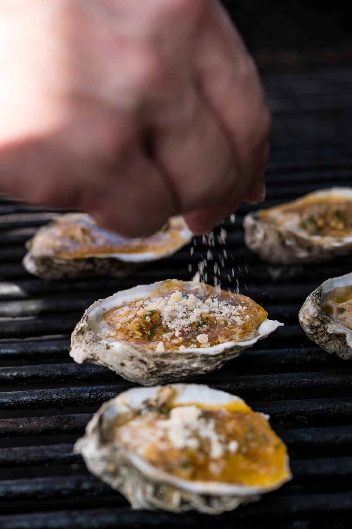 sprinkling Pecorino Romano cheese onto the chargrilled oysters on the grill. 