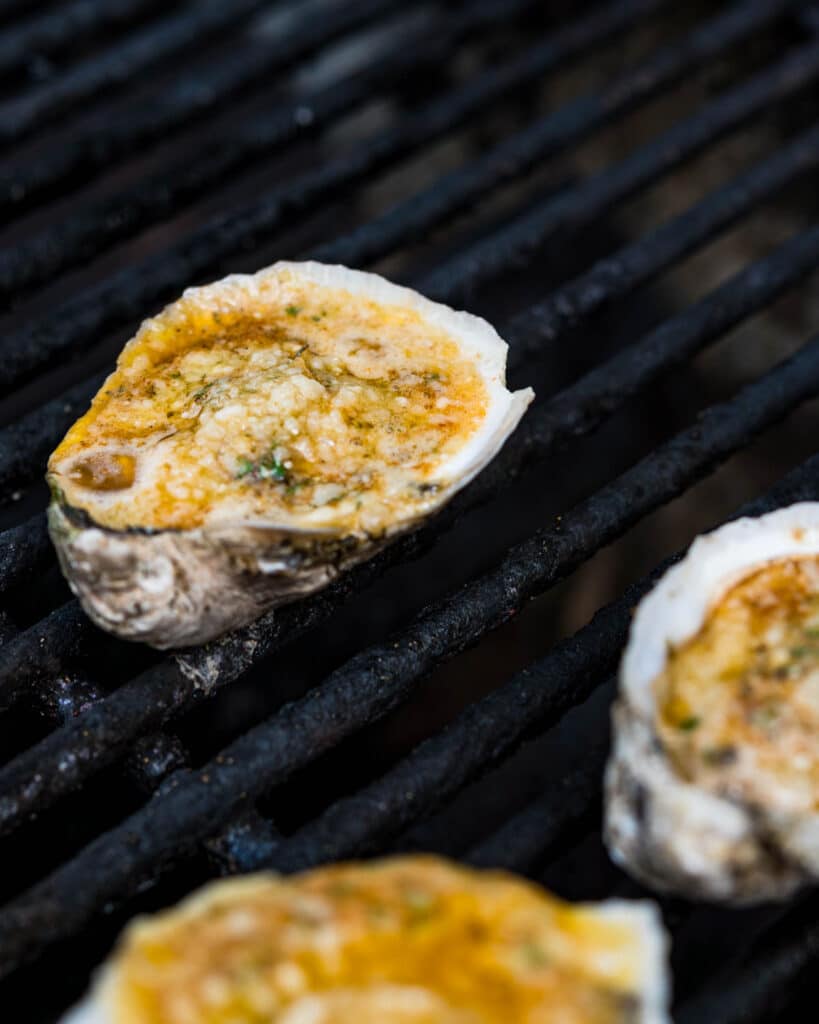 Chargrilling the oysters on a gas grill.