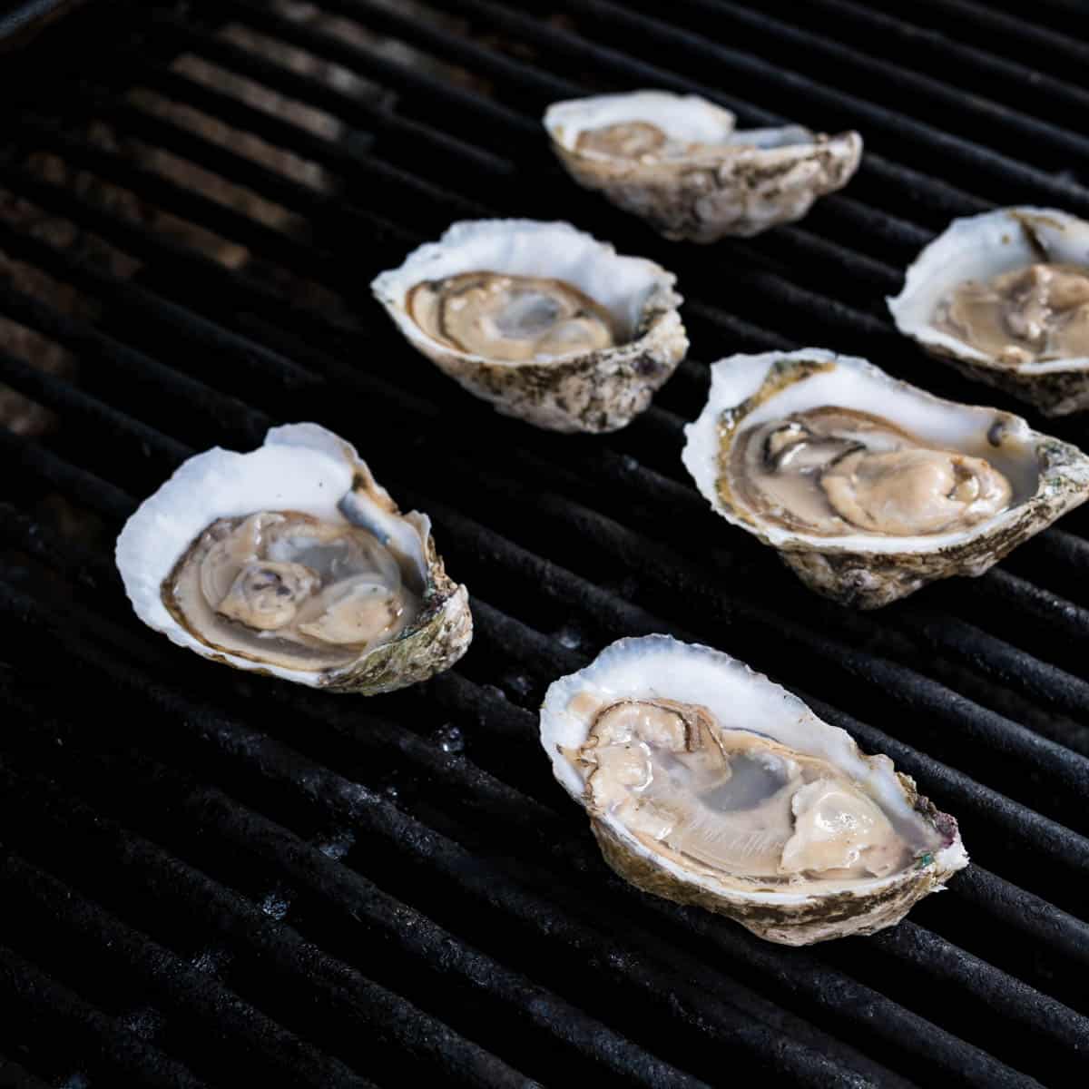 A half dozen oysters on the half shell resting on the hot grill grates. 